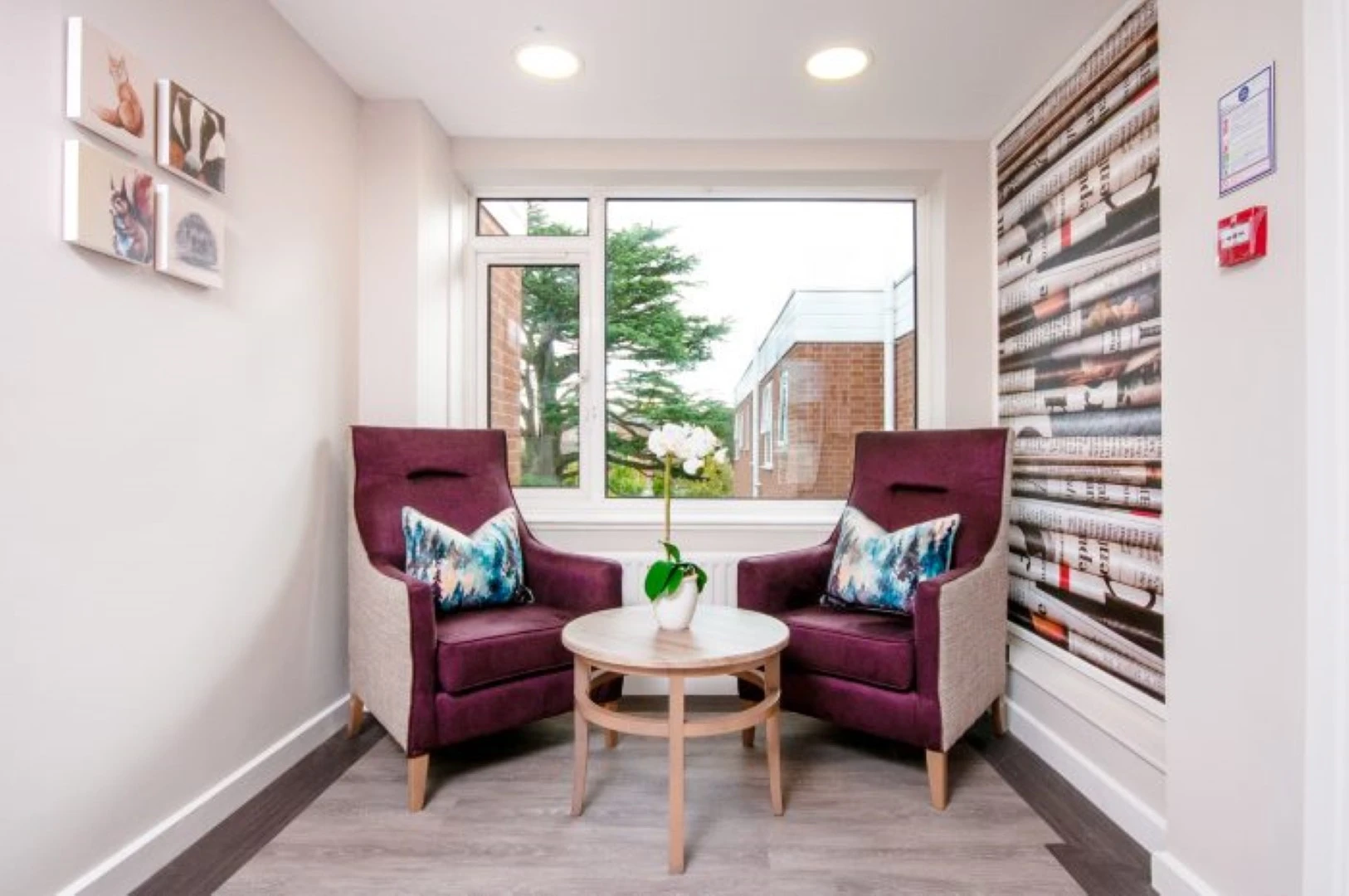 Two upholstered chairs supplied by GOLDEN AGE HOUSING PRODUCTS